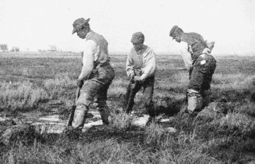 PSM V66 D290 Manual ditch digging on the shrewsbury river marshes 1904.png