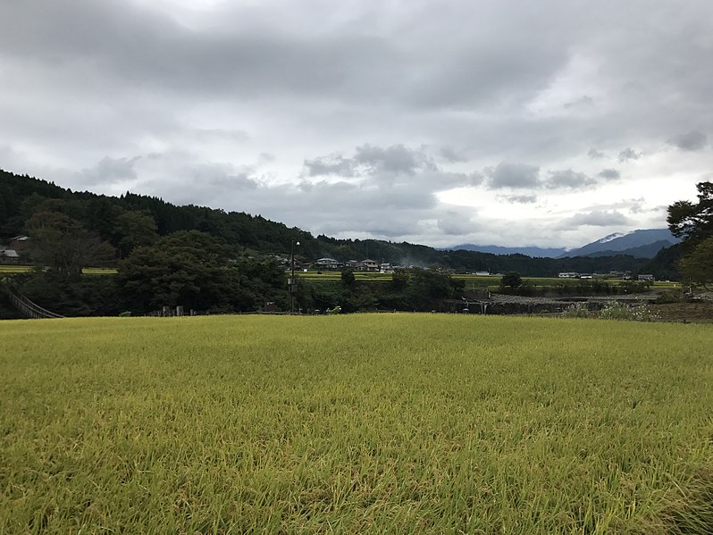 File:Paddy fields near Harajiri Waterfall 2.jpg