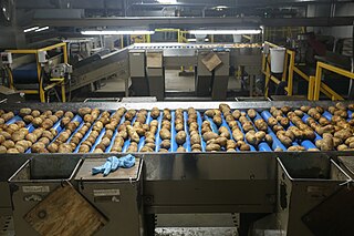 <span class="mw-page-title-main">Potato processing industry</span>