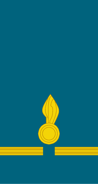 File:Peru-Air Force-WO-1.svg