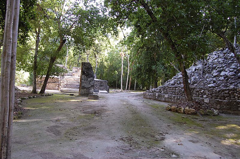 File:Petén Campechano, Calakmul, Campeche (22199409085).jpg