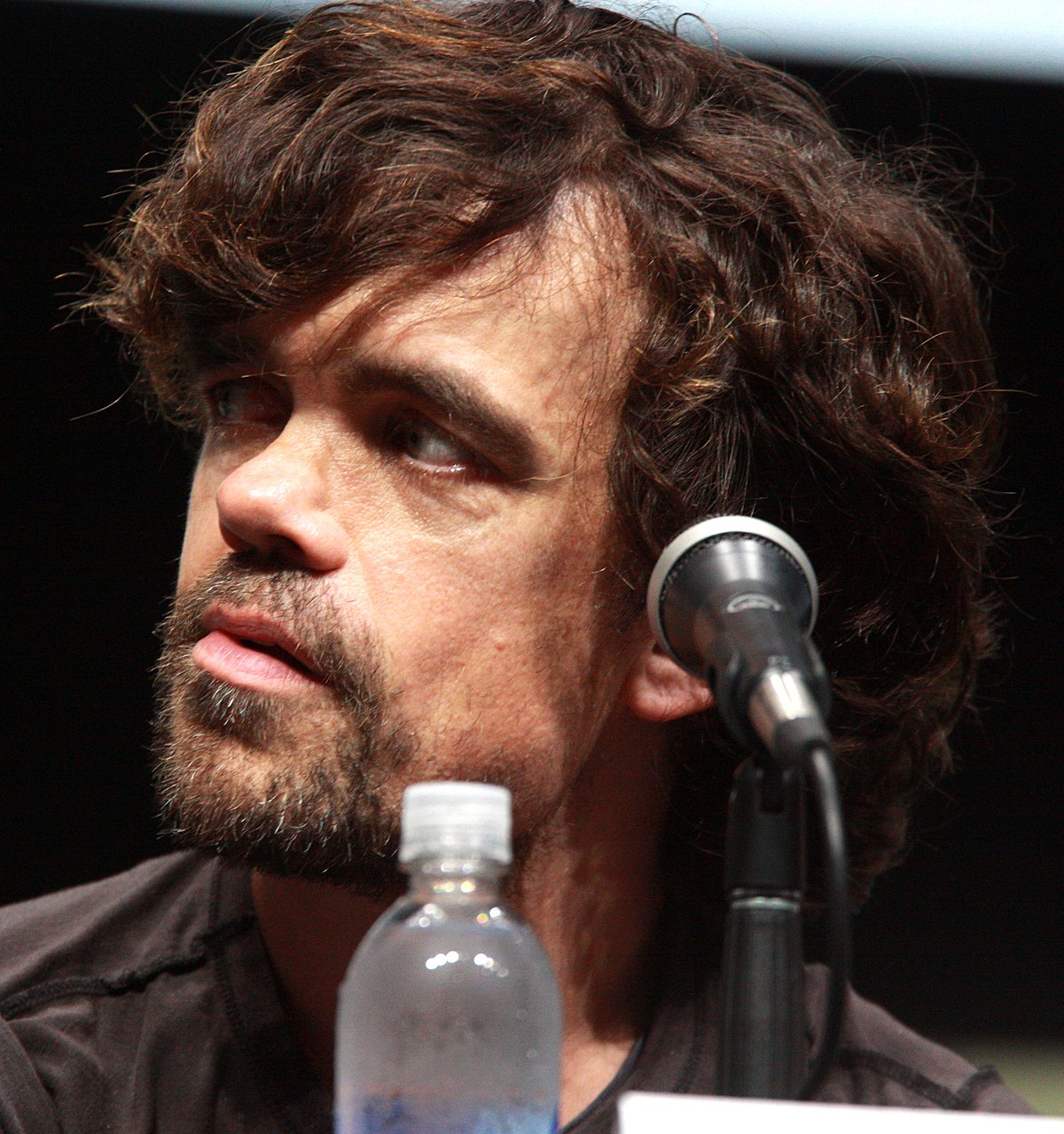 Peter Dinklage - Wikipedia