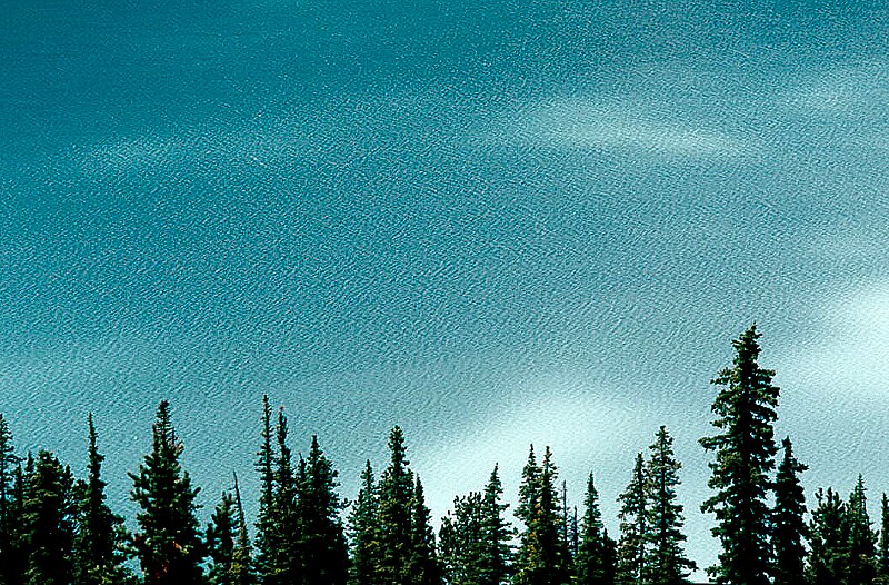 File:Peyto Lake 1996 03.jpg