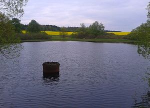 Lazy puddle pond