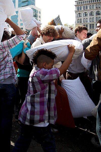 File:Pillow Fight IMG 1724 (4498547865).jpg