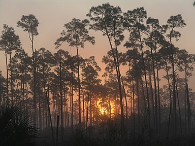 Everglades National Park (Florida)