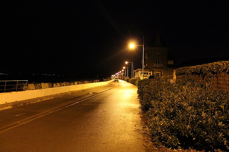 File:Plérin - Les Rosaires - Boulevard de Cornouaille (nuit).jpg