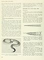 Poisonous snakes of the world (Page 56) BHL11739514.jpg
