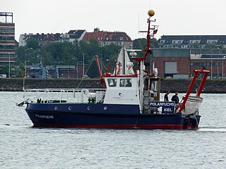 Polarfuchs Kiel 2008