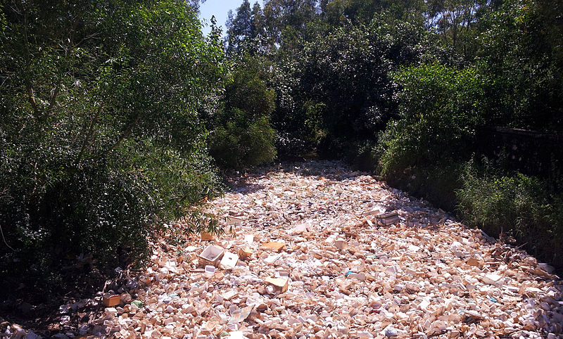 File:Pollution coastal Cambodia 2014.jpg