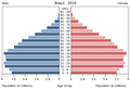 English: The population pyramid of Brazil illustrates the age and sex structure of population and may provide insights about political and social stability, as well as economic development. The population is distributed along the horizontal axis, with males shown on the left and females on the right. The male and female populations are broken down into 5-year age groups represented as horizontal bars along the vertical axis, with the youngest age groups at the bottom and the oldest at the top. The shape of the population pyramid gradually evolves over time based on fertility, mortality, and international migration trends. Українська: Віково-статева піраміда населення Бразилії за 2014 рік. Вона дає наочне уявлення про вікову і статеву структура населення країни, може слугувати джерелом інформації про політичну і соціальну стабільність, економічний розвиток. Блакитними кольорами ліворуч, у вигляді горизонтальних смуг показані вікові групи (з кроком 5 років кожна) чоловічої статі, праворуч рожевими — жіночої. Наймолодші вікові групи — внизу, найстаріші — вгорі. Форма піраміди поступово еволюціонує з плином часу під впливом чинників народжуваності, смертності і світової міграції.