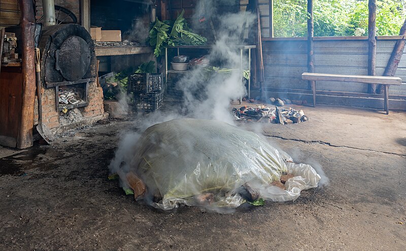 File:Preparación del Curanto en hoyo A74091020240107.jpg