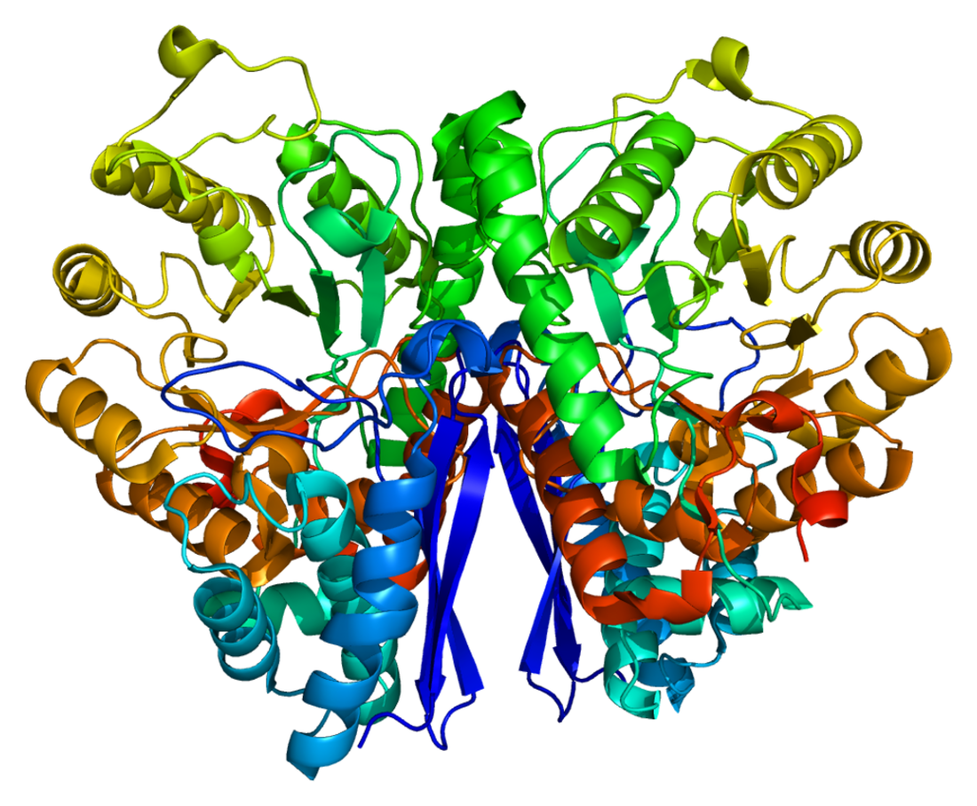 Neuronenspezifische Enolase