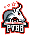 Pvhb-Pouzauges-Vendee-HandBall-logo.png