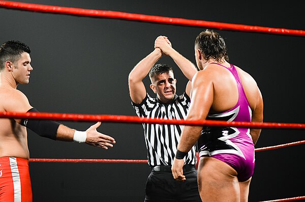 The Code of Honor allows wrestlers to establish themselves as heroic or villainous characters; the referee is shown trying to convince Michael Elgin t