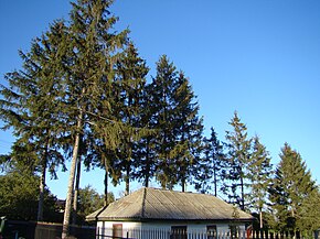 RO NT Biserica de lemn din Bordea (61).jpg