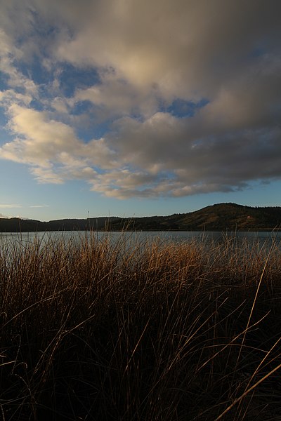 File:Reserva Nacional Laguna Torca 15.jpg