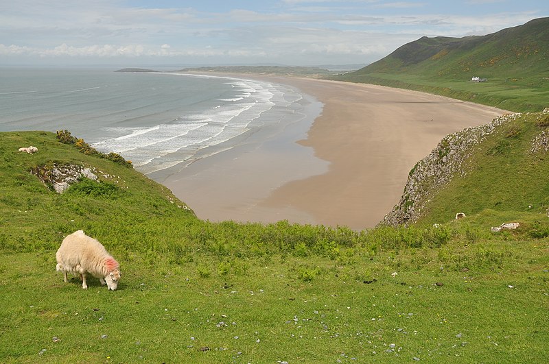 File:Rhossili Bay (5264).jpg