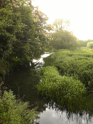 <span class="mw-page-title-main">River Rib</span> River in Hertfordshire, England