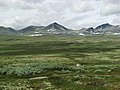 Rondane - panoramio.jpg