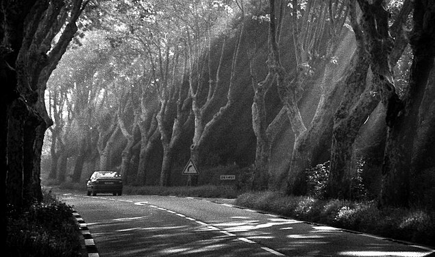 Route 99 outside St Rémy de Provence