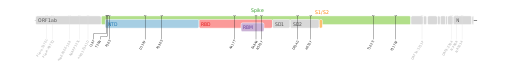Les mutations du variant Gamma sur une carte génomique du SARS-CoV-2