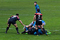 Stade toulousain vs Benetton Rugby, Heineken Cup, January 13th 2013