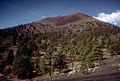 Sunset Crater Volcano.