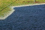 Hoar frost melting on grass in France