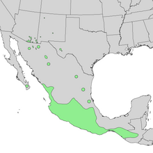 Salix taxifolia range map 2.png