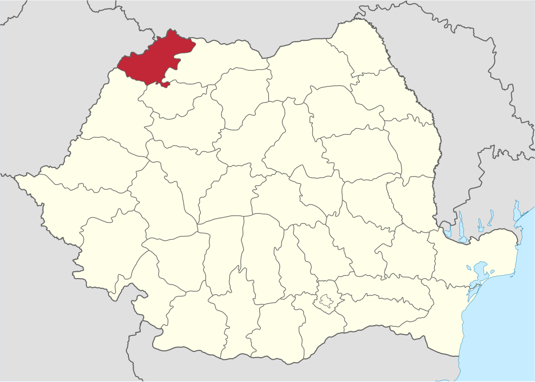 District Satu Mare