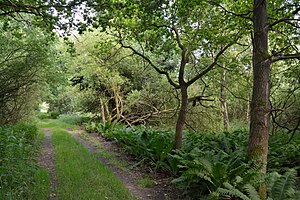 Schleswig-Holstein, Hohenfelde, Landschaftsschutzgebiet Hohenfelder Moor NIK 7041.JPG