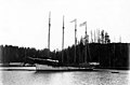 Schooner DEFIANCE after launch in the Hoquiam River, 1897 (TRANSPORT 393).jpg