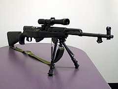 Scoped SKS (3061519440).jpg