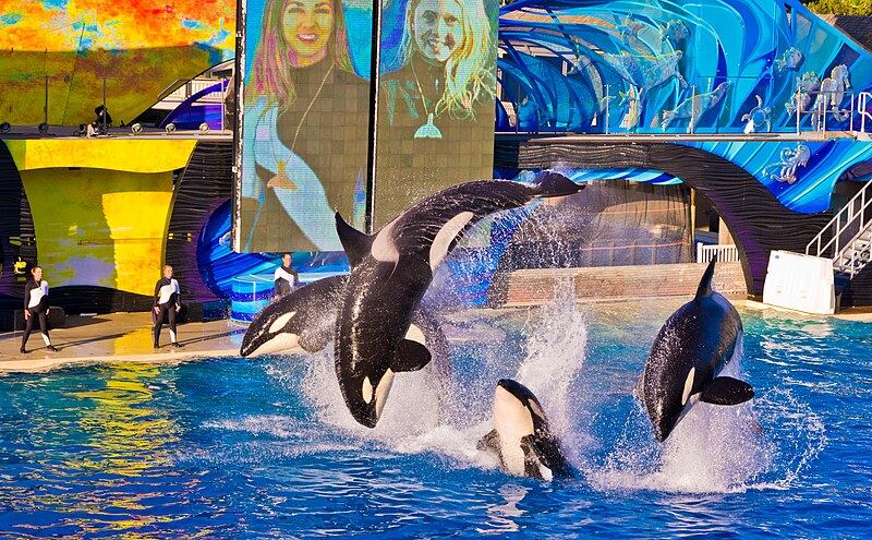 File:SeaWorld San Diego10.jpg