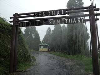 <span class="mw-page-title-main">Senchal Wildlife Sanctuary</span> Wildlife sanctuary in West Bengal, India