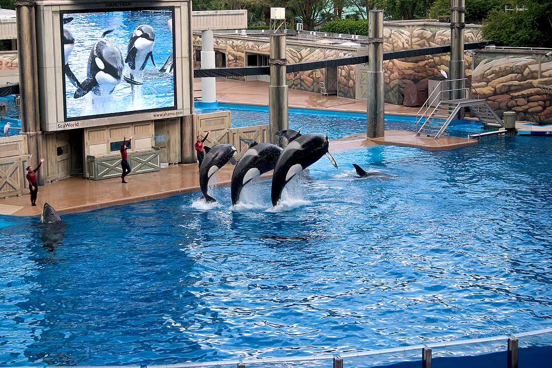 鯨豚水族館