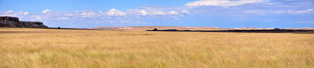 Panorama der Prärie bedeckt mit kurzen braunen und gelben Gräsern.  In der Ferne erheben sich Hügel und ein großer Wolkenschatten verdunkelt einen kleinen Teil der Prärie.