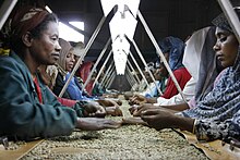 Coffee production - Wikipedia