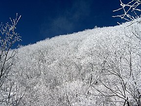 Snow in Sobaeksan national park.jpg
