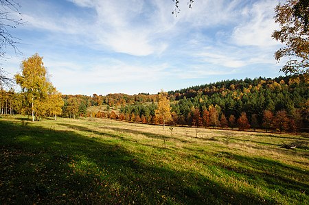 Soest, Netherlands - autumn landscape 2015 (22743688092).jpg