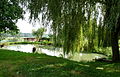 Čeština: Rybník u domu čp. 9 v obci Střítež v okrese Český Krumlov. English: pond at house No 9 in the village of Střítež, Český Krumlov District, South Bohemian Region, Czech Republic.