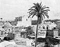 نمای شهر لد، مسجد جامع آن در پشت درخت نخل، و کلیسای جرجیس قدیس در دوردست تصویر، دهه اول قرن ۲۰