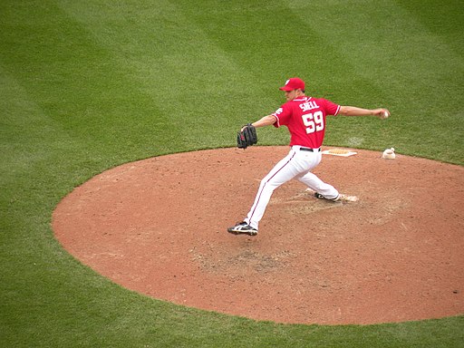 Steven Shell pitch