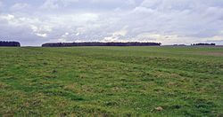 Stonehenge Cursus, Wiltshire Stonehenge Cursus.jpg