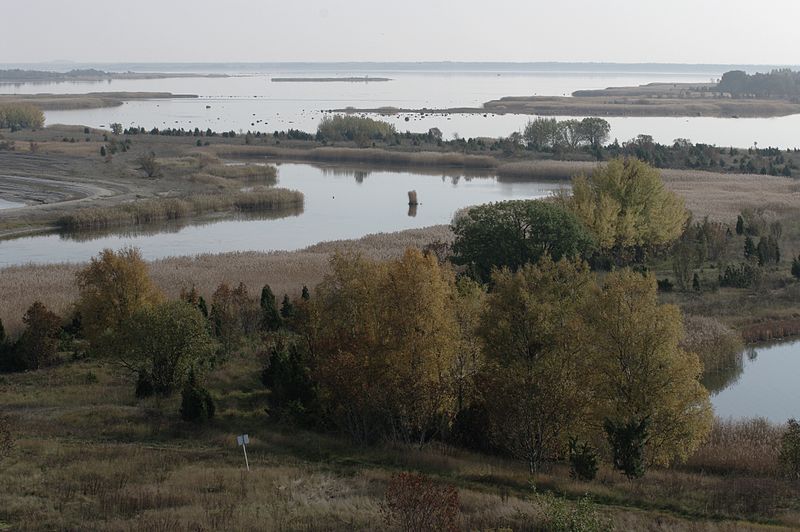 File:Strait between the Suur-Pakri and Väike-Pakri islands - panoramio.jpg