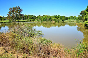 Struben Dam Bird Sanctuary