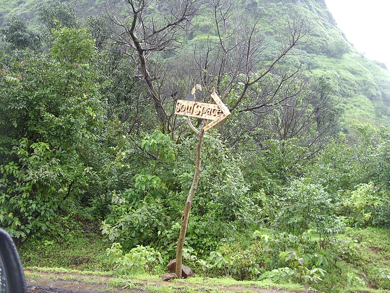 File:Tamhini ghat in rainy season 43.JPG