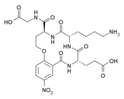 ساختار Tavilermide.png