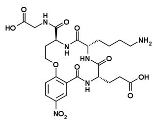 <span class="mw-page-title-main">Tavilermide</span> Chemical compound